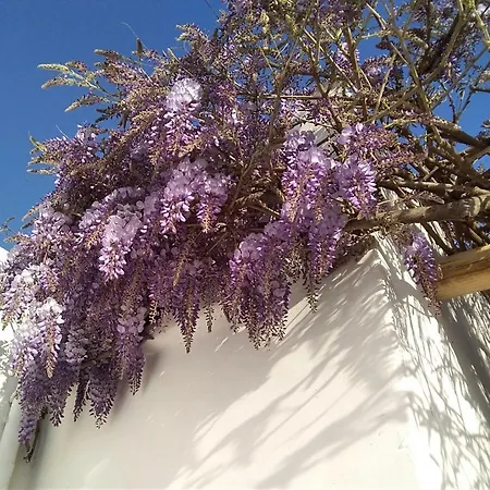 Dora's Traditional Houses * Apollonia